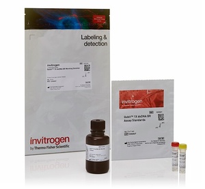 Thermo Scientific™ Invitrogen™ Qubit™ 1X dsDNA Broad Range (BR) Assay Kits