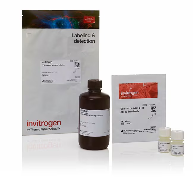 Thermo Scientific™ Invitrogen™ Qubit™ 1X dsDNA Broad Range (BR) Assay Kits