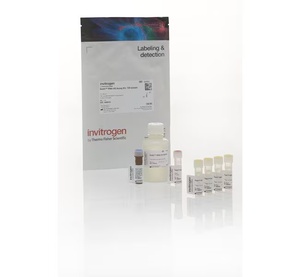 Invitrogen™ Qubit™ RNA High Sensitivity (HS) Assay Kits