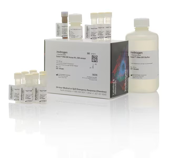 Thermo Scientific™ Invitrogen™ Qubit™ RNA High Sensitivity (HS) Assay Kits