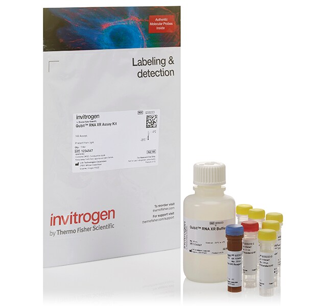 Thermo Scientific™ Invitrogen™ Qubit™ RNA Extended Range (XR) Assay Kits