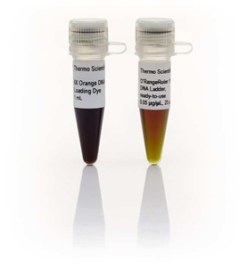 Thermo Scientific™ O’RangeRuler 50 bp DNA Ladder, ready-to-use, 25 µg