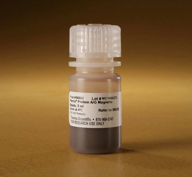 Thermo Scientific™ Pierce™ Protein A/G Magnetic Beads