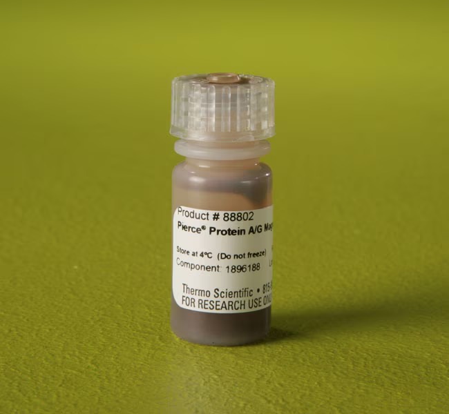 Thermo Scientific™ Pierce™ Protein A/G Magnetic Beads