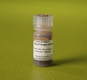 Thermo Scientific™ Pierce™ Protein A/G Magnetic Beads
