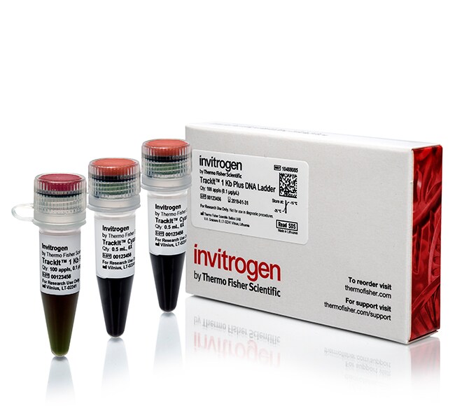 Invitrogen™ TrackIt™ 1 Kb Plus DNA Ladder, 50 µg, premixed with 6X TrackIt Loading Buffer 