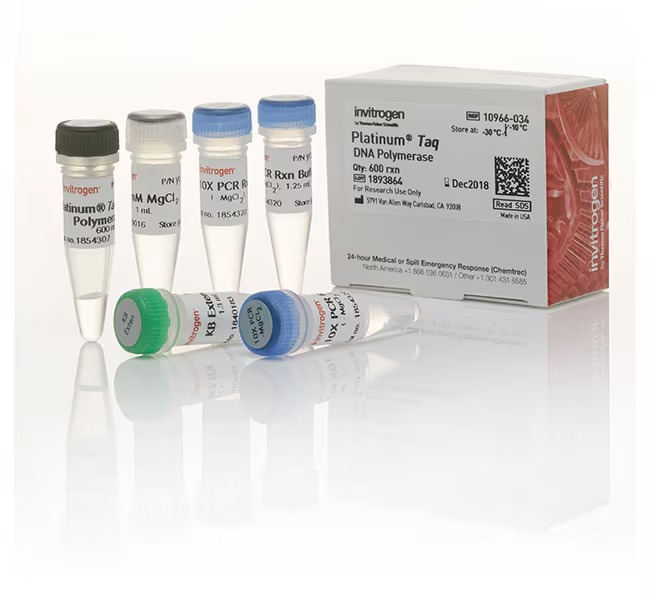 Thermo Scientific™ Invitrogen™ Platinum™ Taq DNA Polymerase