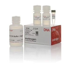 Invitrogen™ Platinum™ Taq DNA Polymerase