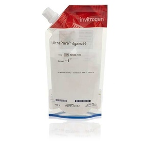 Thermo Scientific™ Invitrogen™ UltraPure™ Agarose