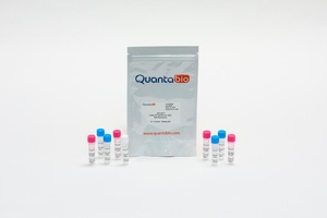 Quantbio qScript One-Step qRT-PCR Kit, Low-ROX, 200 x 50 μL rxns