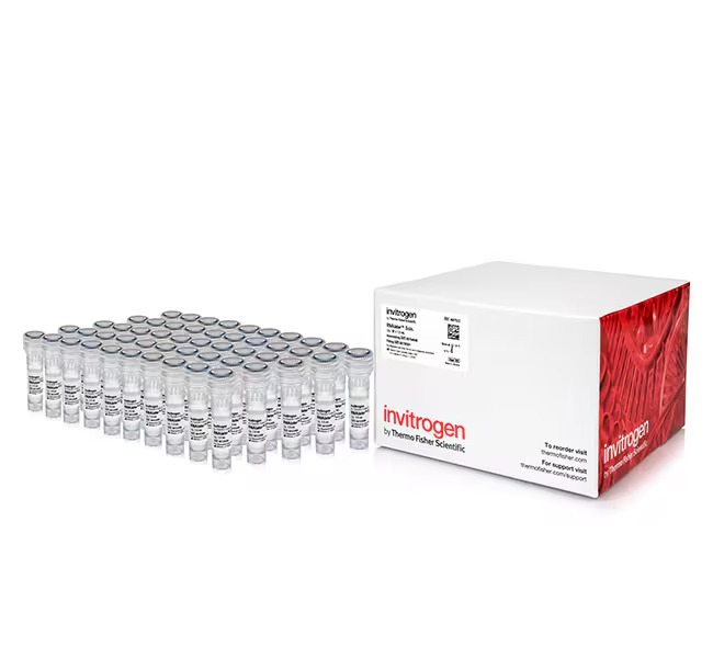Invitrogen™ Rnalater™ Stabilization Solution, 500Ml