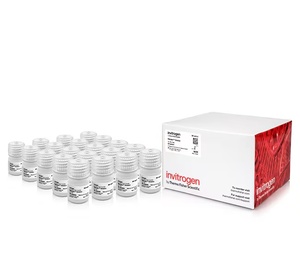 Invitrogen™ Rnalater™ Stabilization Solution, 500Ml