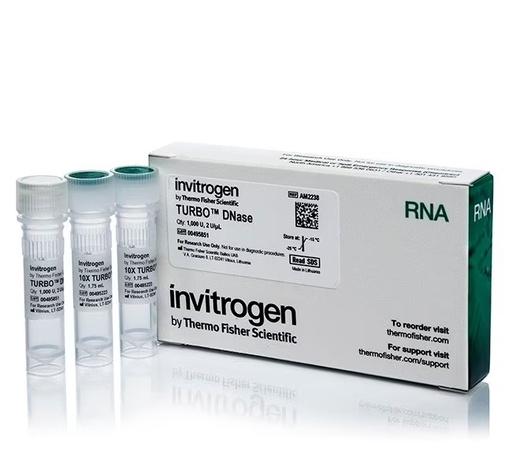 [AM2238] Thermo Scientific™ Invitrogen™ TURBO™ DNase (2 U/µL) (1,000 units)