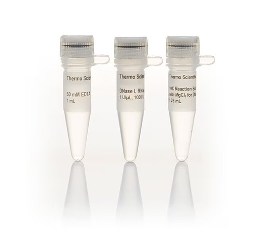 [EN0521] Thermo Scientific™ DNase I, RNase-free (1 U/µL), 1,000 units