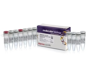 Thermo Scientific™ RevertAid First Strand cDNA Synthesis Kit