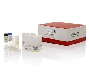 Thermo Scientific™ Invitrogen™ PureLink™ Genomic DNA Mini Kit