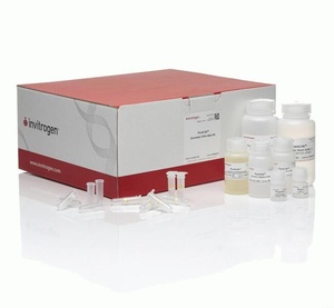 Thermo Scientific™ Invitrogen™ PureLink™ Genomic DNA Mini Kit