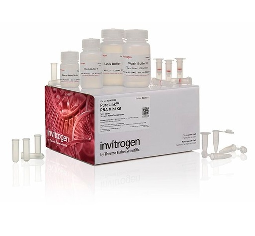 [12183018A] Thermo Scientific™ Invitrogen™ PureLink™ RNA Mini Kit (50 rxn)