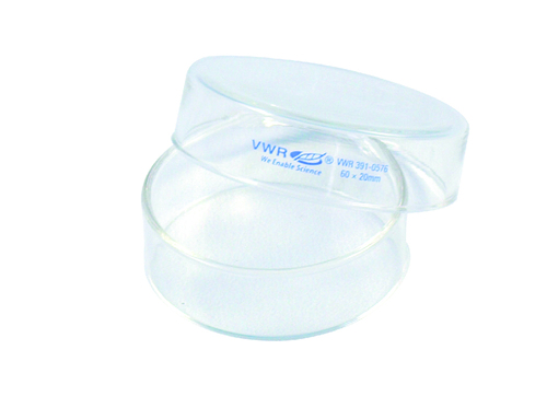 VWR® Boro 3.3 Glass Petri Dish, Non-Sterile