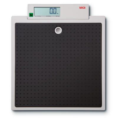 Seca 875 Electronic Scale, Class III
