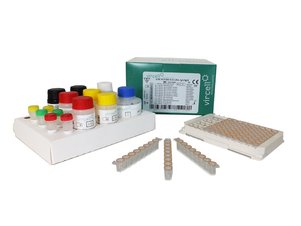 Vircell parainfluenza IgG/IgM Elisa kit