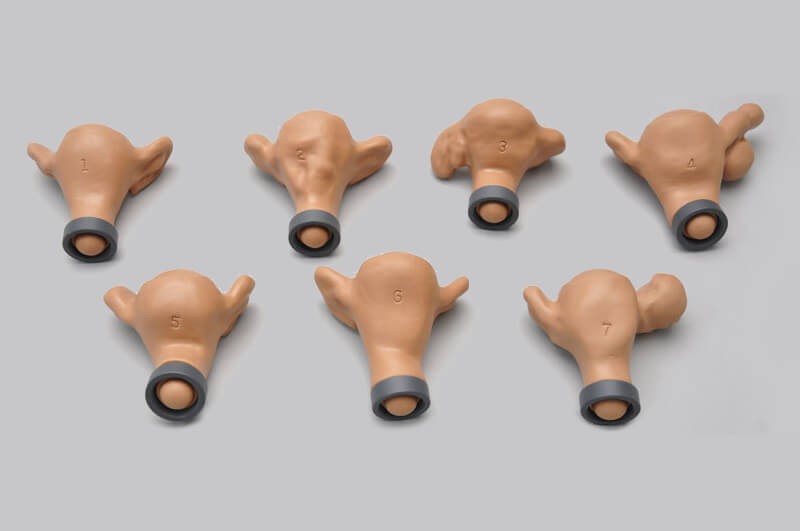 Set of 7 normal and abnormal uteri with pathologies for ZOE S504.100