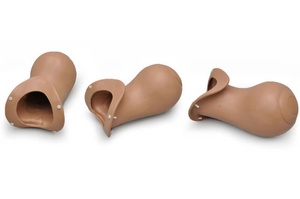 Gaumard 10-Minute Postpartum Uterus for IUD Insertion