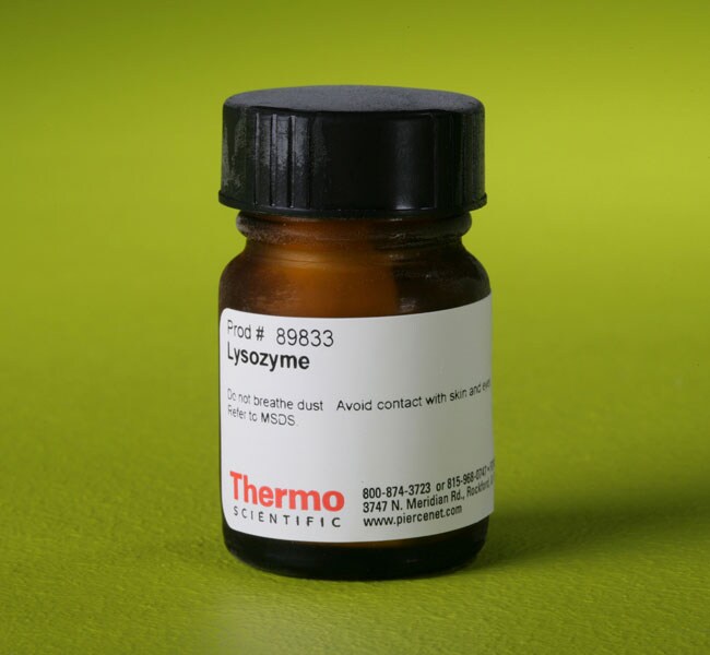 Thermo Scientific™ Lysozyme, Lyophilised, 20,000 units/mg