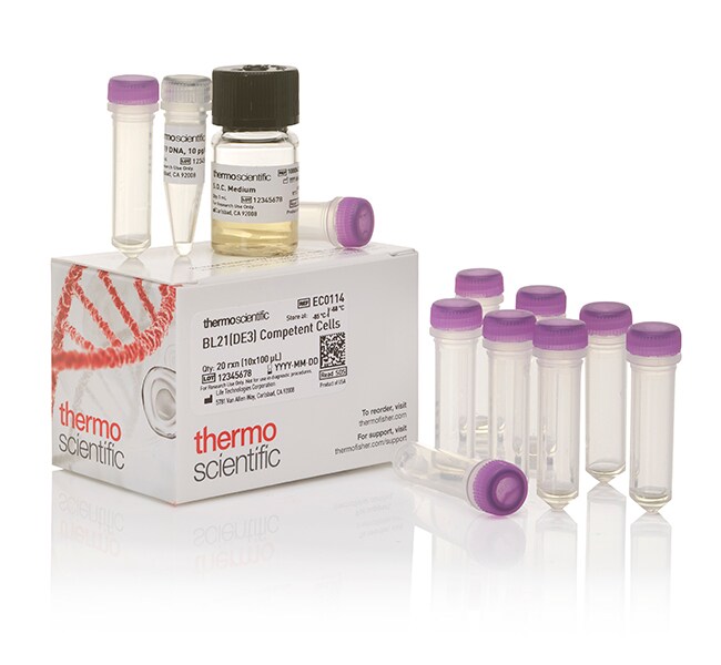 Thermo Scientific™ BL21(DE3) Competent Cells, 10 x 100 μL