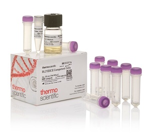 Thermo Scientific™ BL21(DE3) Competent Cells
