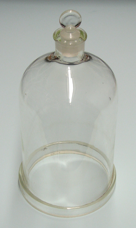 Clear Glass Bell Jar, with Ground-in Glass Stopper