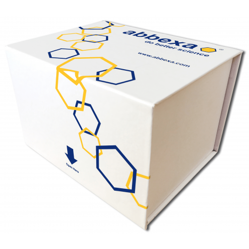 Abbexa Human West Nile Virus ELISA Kit