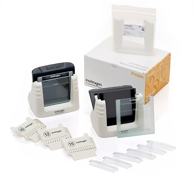 Thermo Scientific™ Invitrogen™ SureCast™ Gel Handcast Bundle B - Hardware Only