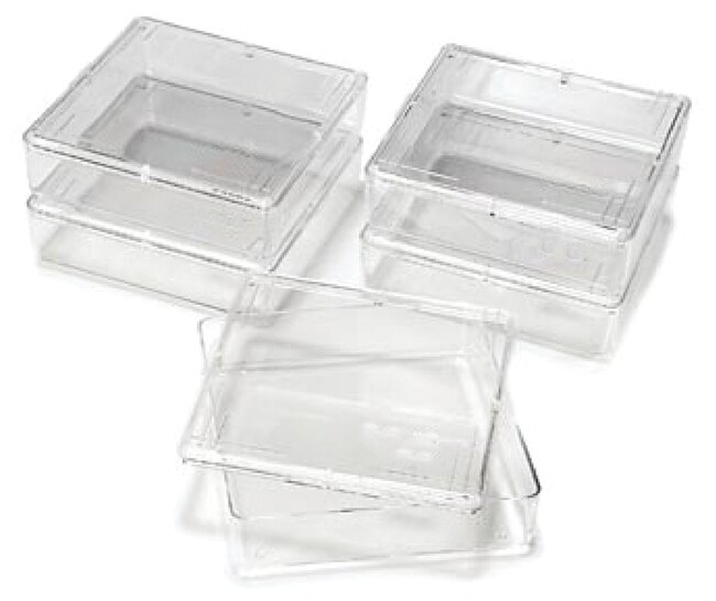 Thermo Scientific™ Owl™ Gel Staining Box