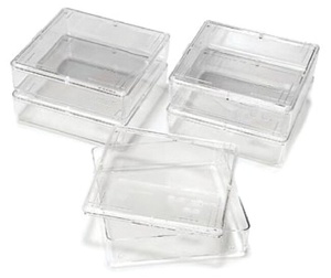 Thermo Scientific™ Owl™ Gel Staining Box