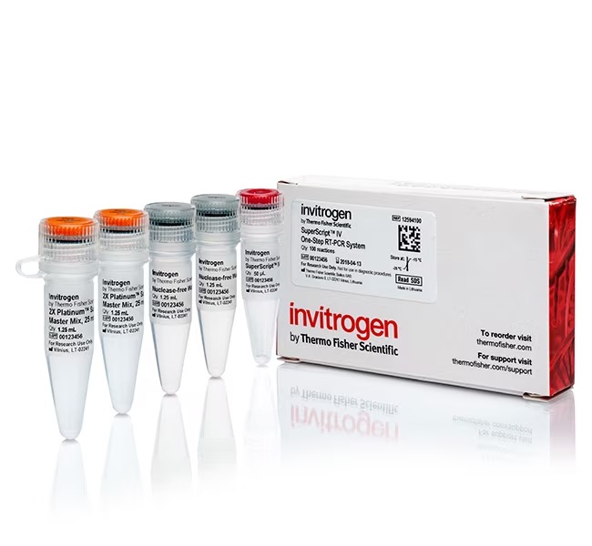 Invitrogen™ SuperScript™ IV One-Step RT-PCR System with ezDNase