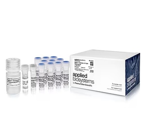 Thermo Scientific™ Applied Biosystems™ BigDye™ Terminator v3.1 Cycle Sequencing Kit