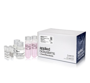 Thermo Scientific™ Applied Biosystems™ BigDye™ Terminator v3.1 Cycle Sequencing Kit