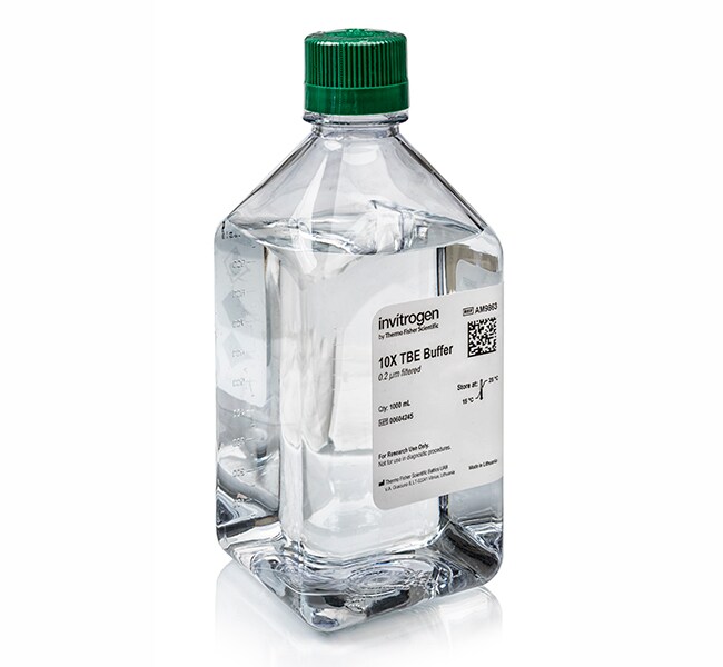 Thermo Scientific™ Invitrogen™ TBE (10X), RNase-free