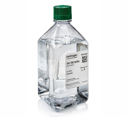 [AM9863] Invitrogen™ TBE (10X), RNase-free (1000 mL)