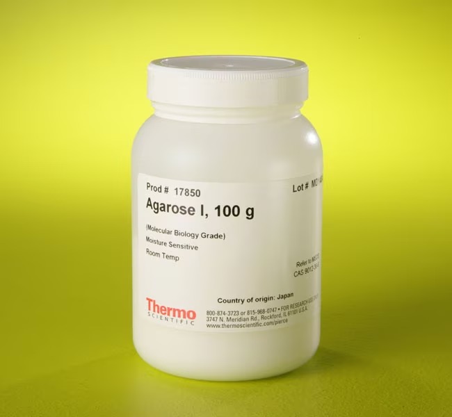 Thermo Scientific™ Agarose I (Molecular Biology Grade)