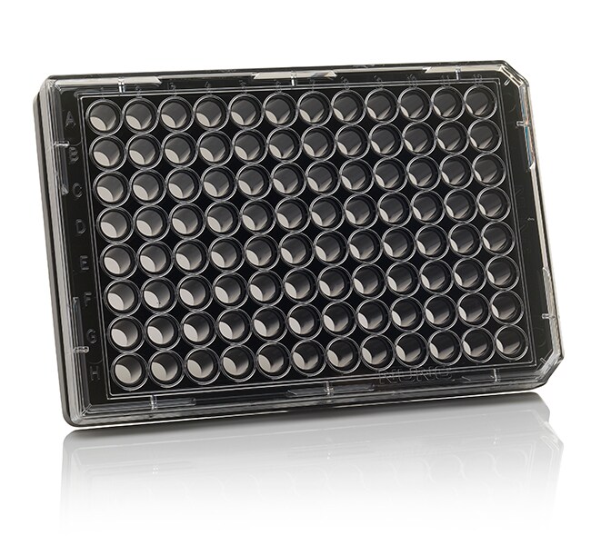 Thermo Scientific™ 96 Well Black/Clear Bottom Plate, TC Surface