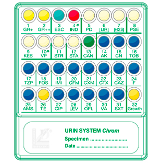 Liofilchem® URIN SYSTEM Chrom for 20 Tests
