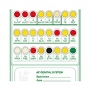 Liofilchem® A.F. Genital System for 20 Tests