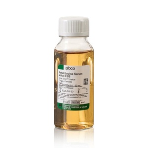 Thermo Scientific™ Gibco™ Fetal Bovine Serum FBS, Qualified, heat inactivated, Brazil