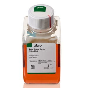 Thermo Scientific™ Gibco™ Fetal Bovine Serum FBS, Qualified, heat inactivated, Brazil