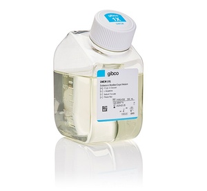 Thermo Scientific™ Gibco™ DMEM, high glucose, no glutamine, no phenol red