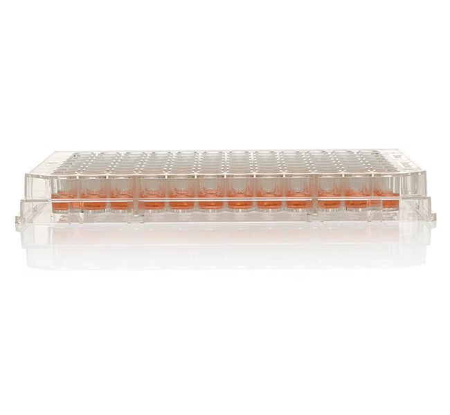 Thermo Scientific™ Nunc™ MicroWell™ 96-Well Microplates, Sterile without lid
