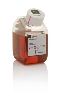 Thermo Scientific™ Gibco™ Horse Serum, New Zealand origin