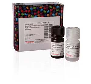 SuperSignal™ West Pico PLUS Chemiluminescent Substrate